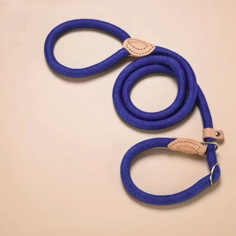 New Dog Leash Slip Rope Lead Leash Heavy Duty Braided Rope Adjustable Loop Collar Training Leashes for Small Medium Dogs