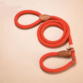 New Dog Leash Slip Rope Lead Leash Heavy Duty Braided Rope Adjustable Loop Collar Training Leashes for Small Medium Dogs